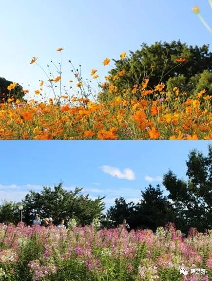 四天三晚首尔游,韩国周末游首尔购物