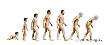 记性差老是记不住,老是记不住吃药怎么办