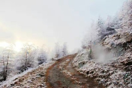 去五台山旅游需要注意的一些事情,五台山旅游攻略注意事项