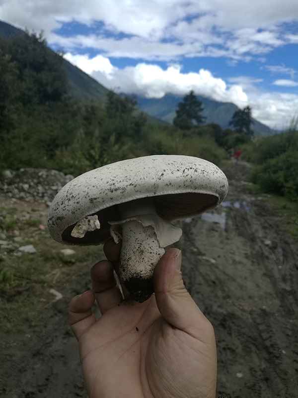 滇藏219线骑摩托进藏最全攻略,2021滇藏进藏自驾游