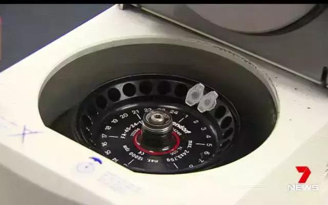 澳华裔科学家攻克白血病!新药获批即将上市或为医保廉价药!