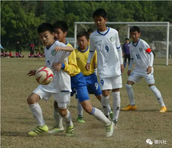 马德兴足球教育,马德兴谈中国足球