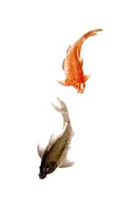 淮北首届南湖捕捞节盛大启幕！