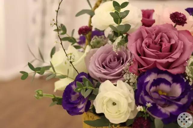 世界这么吵,90后的她却在花的世界里把文艺过成了生活!