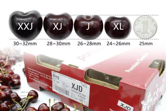 年货高端必备水果车厘子,年后的车厘子买哪种好吃