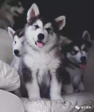 考研院校｜优势专业推荐（上）