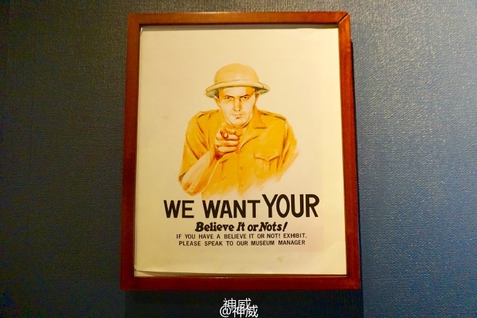 神会玩|XOXO，绯闻纽约的168小时享乐进行时