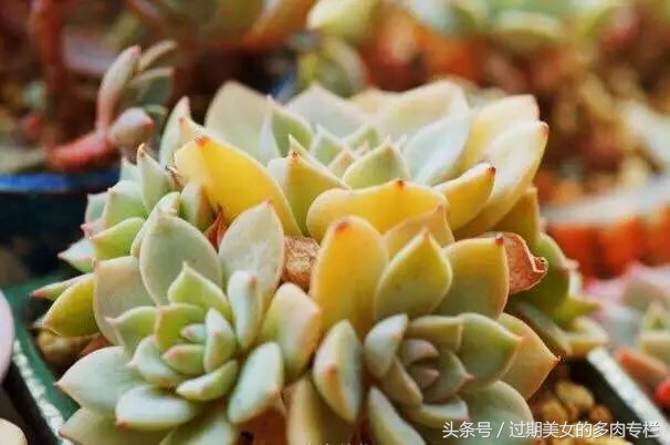 入坑一年小说,入坑一年