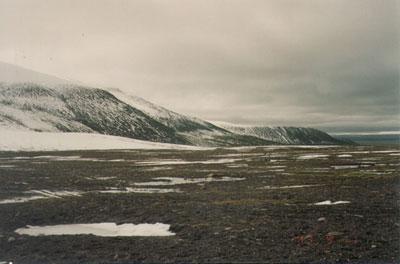 冻土层长成什么样,冰下面的地下土长什么样