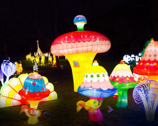 英国伦敦旅游购物攻略,伦敦旅游攻略相关推荐