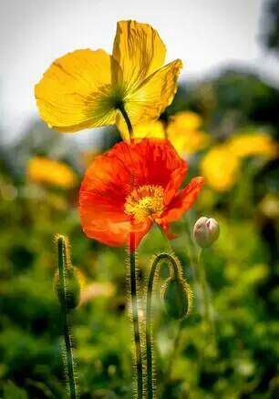 看完这些摄影作品点评，你的摄影技能会有大幅提升