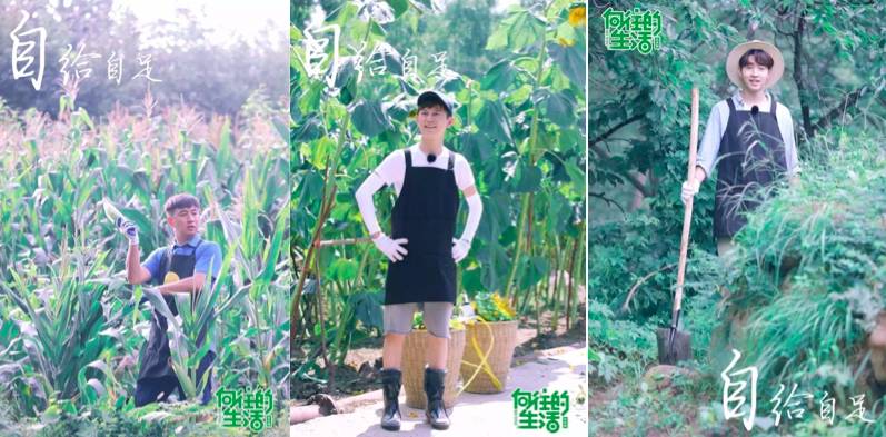 《向往的生活》的开播，也许是制作公司在内容上最顽强的一次坚持