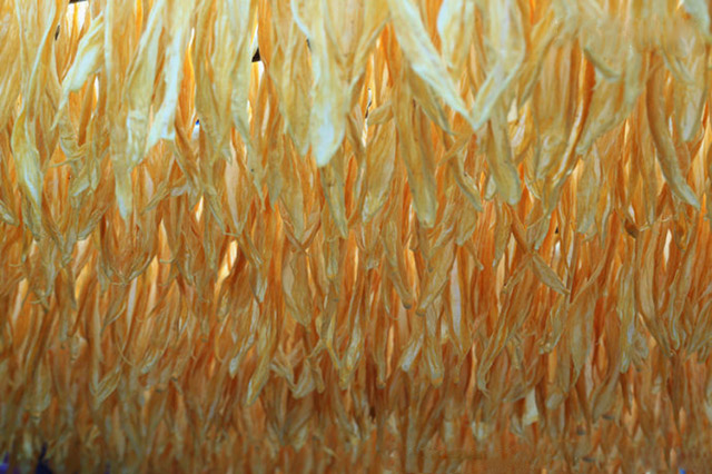 扫年货的时候到了！买点清远特产回家送礼吧！