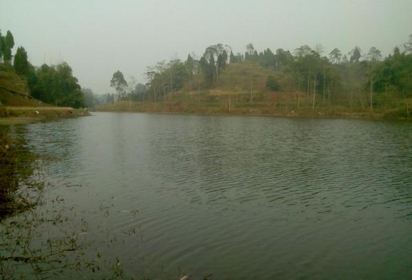 钓友公认最好日本5.4米鱼竿,钓友公认最好日本6.3米鱼竿