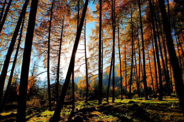 川西美丽地方,川西最迷人的地方