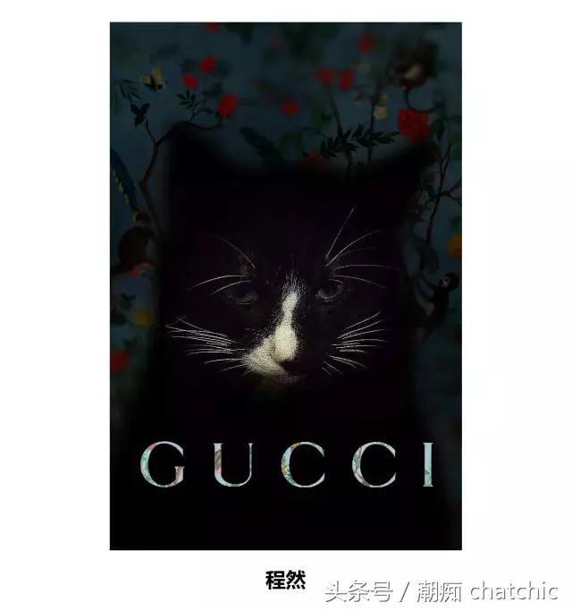 newgucci (新的gucci要怎么看)