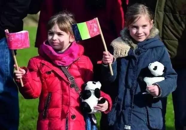 为求得一只熊猫的抚养权，英美荷法等国家连尊严都不要了