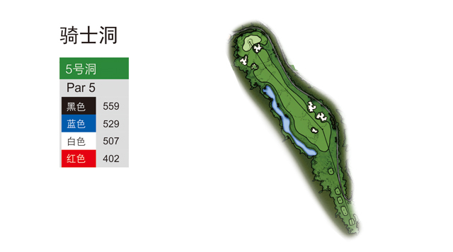2023佛山青少年锦标赛,广东佛山足球青少年比赛