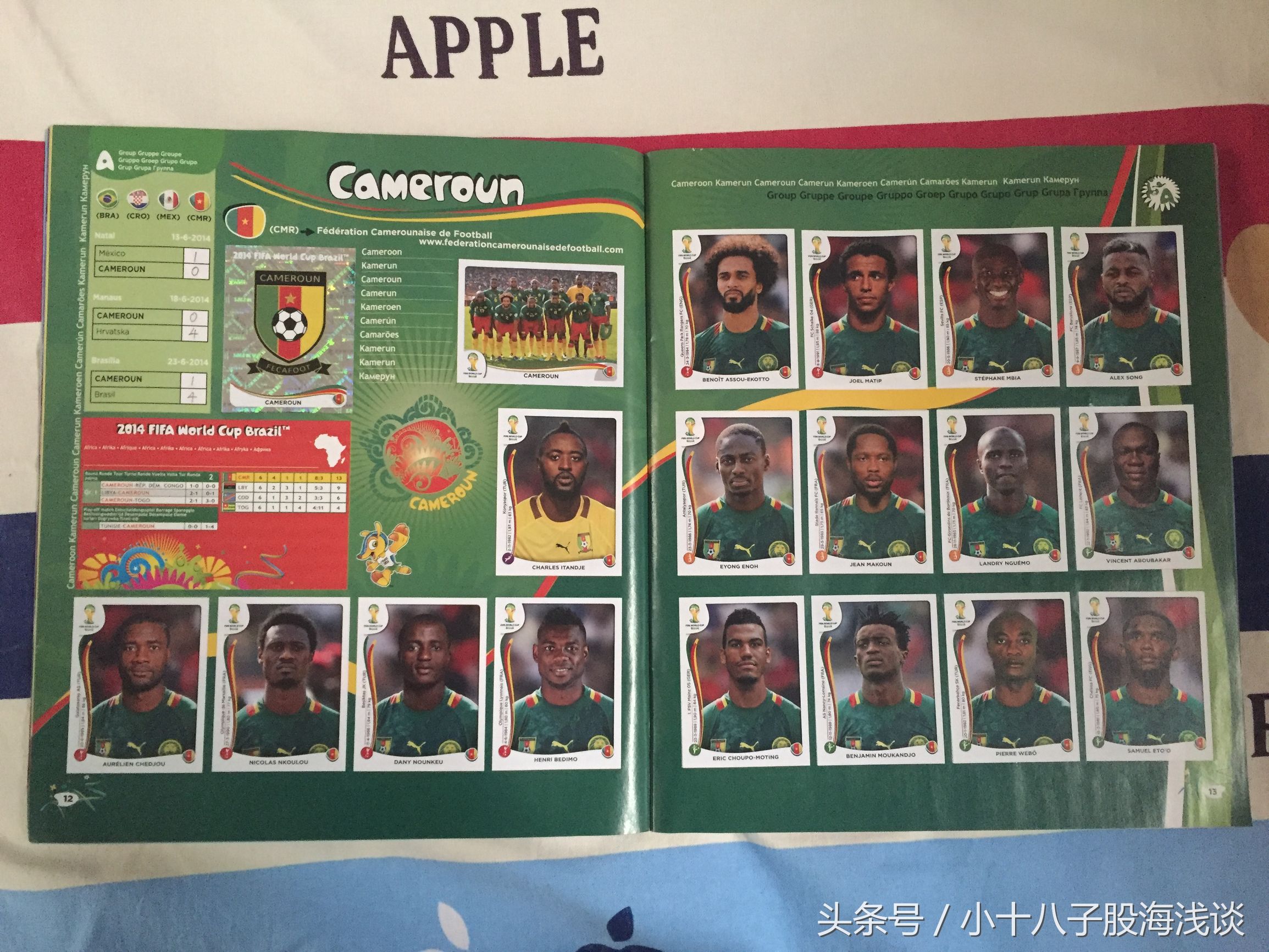 帕尼尼世界杯贴纸,帕尼尼2022世界杯收藏贴纸