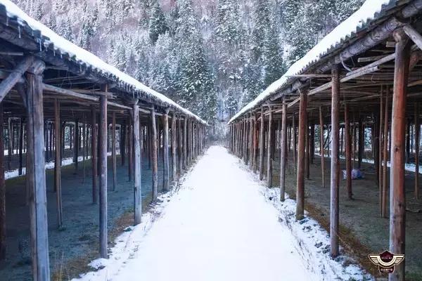 成都鹧鸪山是人造雪吗,西岭雪山和鹧鸪山滑雪哪个好