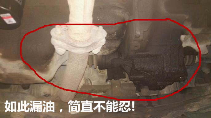 购买几千雨燕,买雨燕被坑