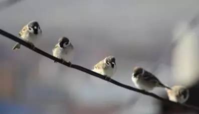 如何学数学几何证明,怎么学习数学查数