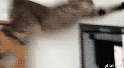 信息快报|第281期(今日共18条)好想使劲抓着雾霾脖领子,问问他我的快递呢?