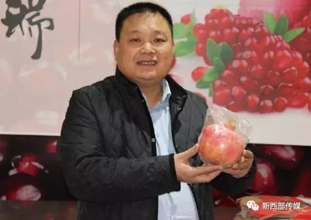 王勋昌石榴,留恋不舍