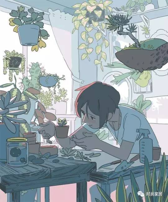 用植物点缀空间，请先抛弃老土花器