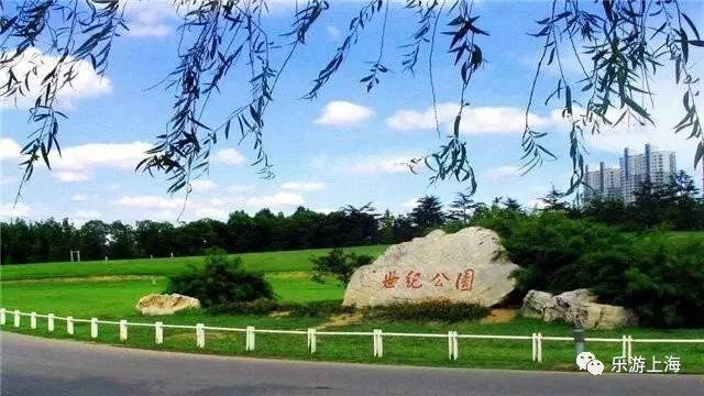 上海哪些景点有优待票,上海海昌海洋公园年票