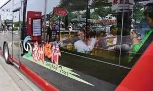 苏州春季梅花免费观赏胜地,苏州梅园赏梅花时间