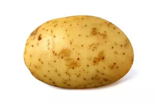 读者来稿丨抱着邦尼兔睡觉、拎着定型枕逛街、在公园里给土豆推秋千……小朋友的安抚物大集合！