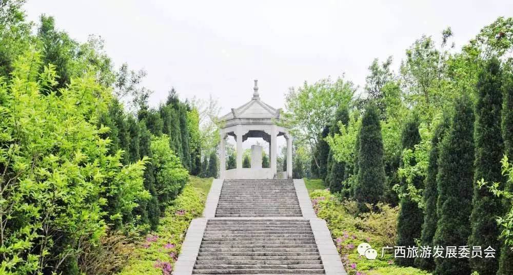 广西红色景点参观感想,参观广西红色革命基地的心得体会