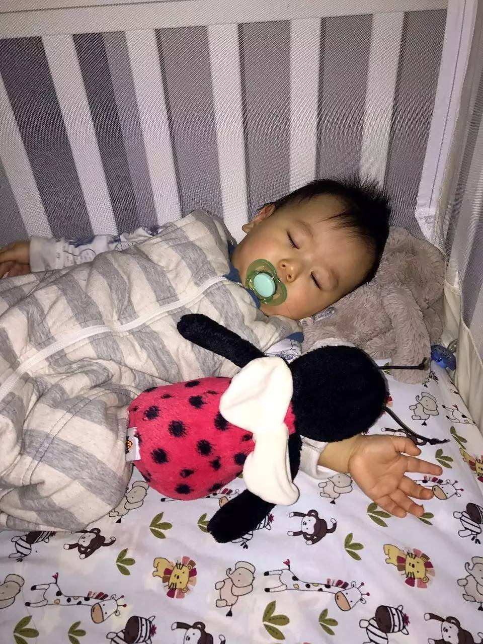 读者来稿丨抱着邦尼兔睡觉、拎着定型枕逛街、在公园里给土豆推秋千……小朋友的安抚物大集合！