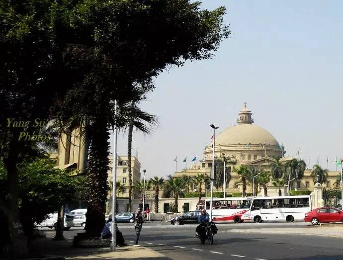 埃及开罗大学,开罗大学孔子学院