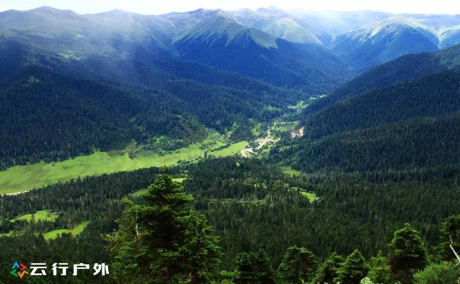 2019年成都自驾林芝看桃花,金川梨花赏花路线