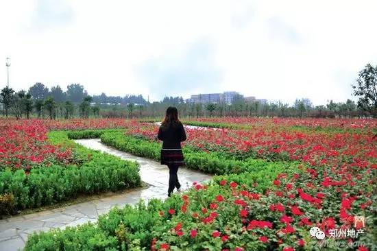 谁说郑州没有网红打卡地,郑州市没有好玩的地方