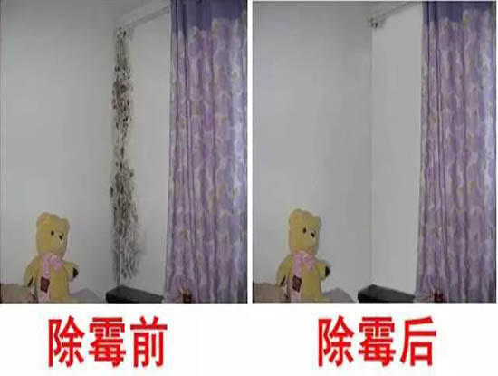 墙体发霉最好的解决办法,墙体发霉彻底解决办法
