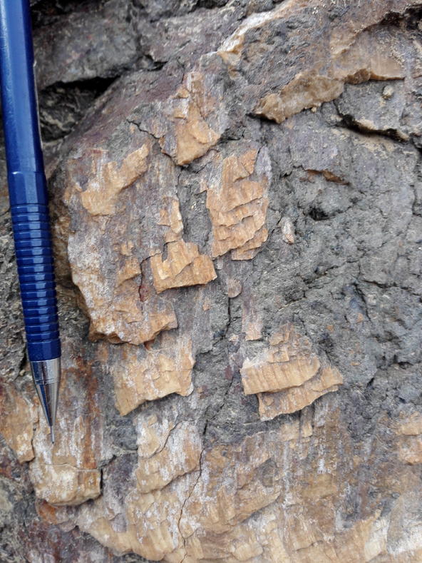 地质断层图,断层地质案例