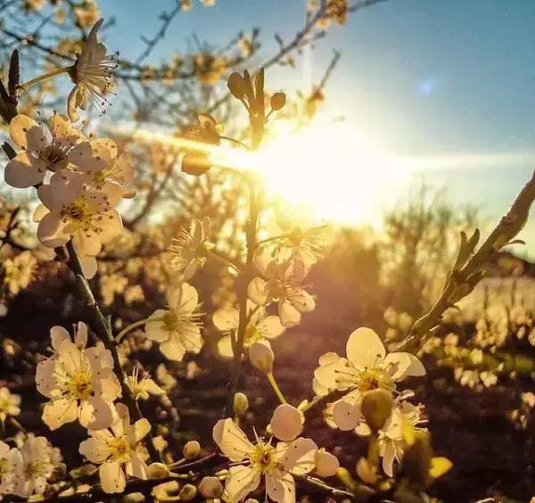 夫妻都知道的婚姻宝典,夫妻都应该知道的婚姻宝典