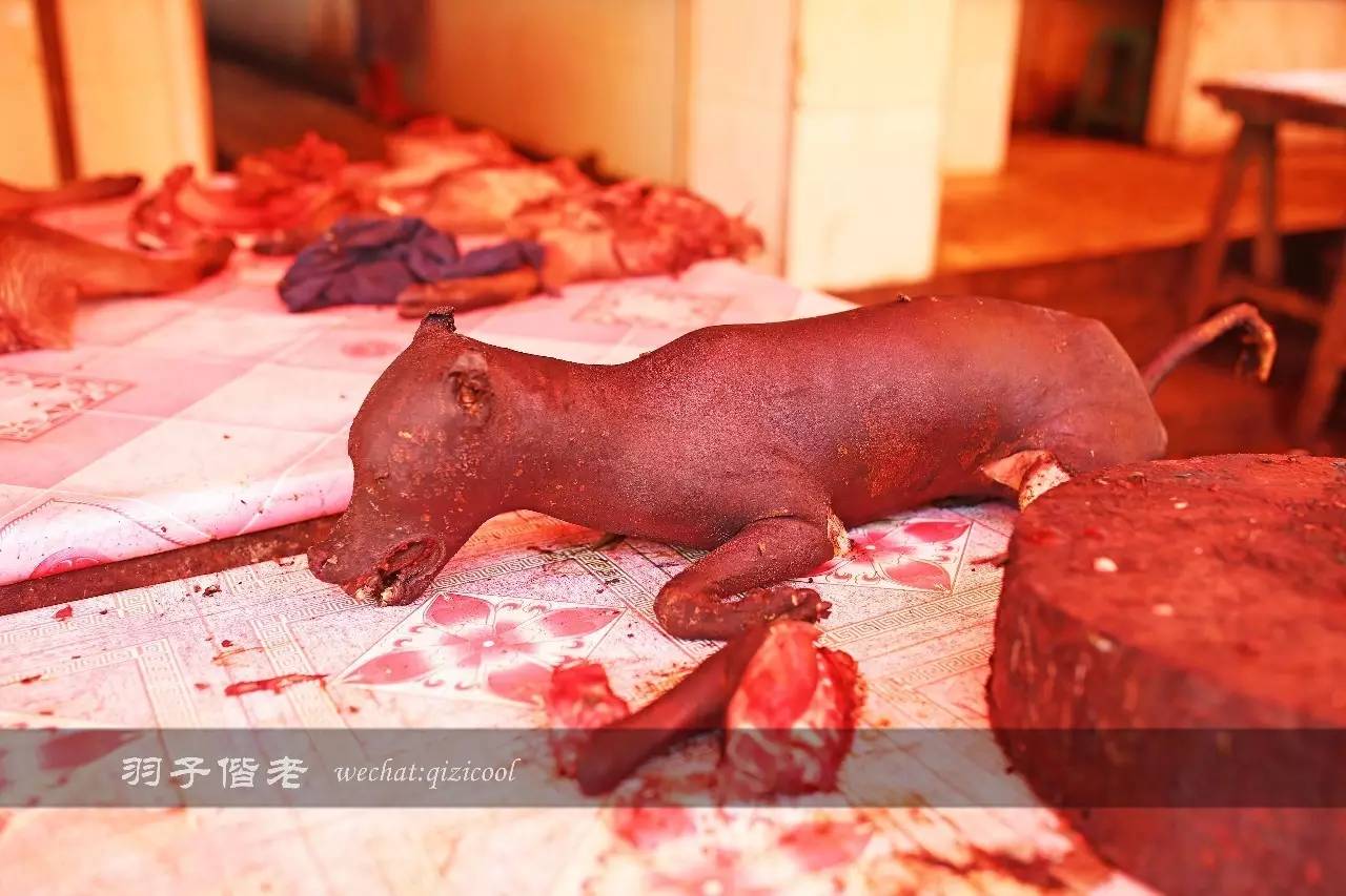 印尼美娜多旅游,印尼美娜多跟团游