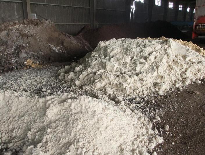 酒糟喂猪长膘快，养猪能人这样用既催肥又降低饲料成本