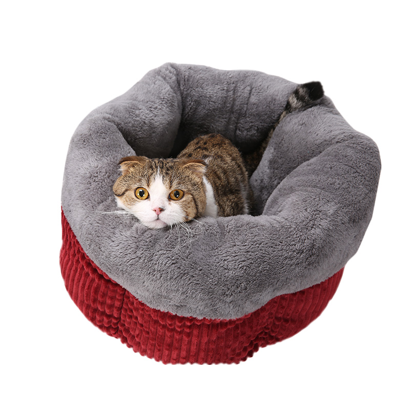 你家猫给你带了什么家具,你给家人准备年货了吗