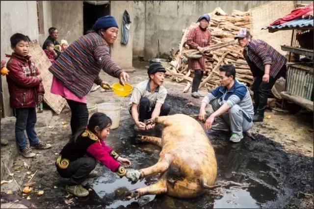李劲松昭通,昭通李劲松