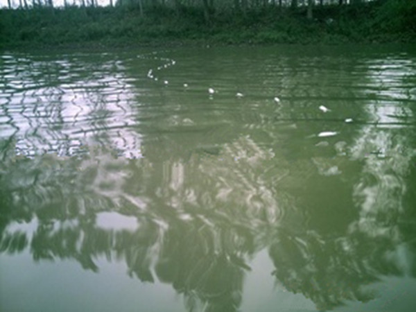 山里抓鱼,小溪抓鱼方法大全