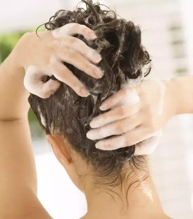 头发毛躁容易起静电用什么洗发水,头发疯狂掉跟换了洗发水有关系吗