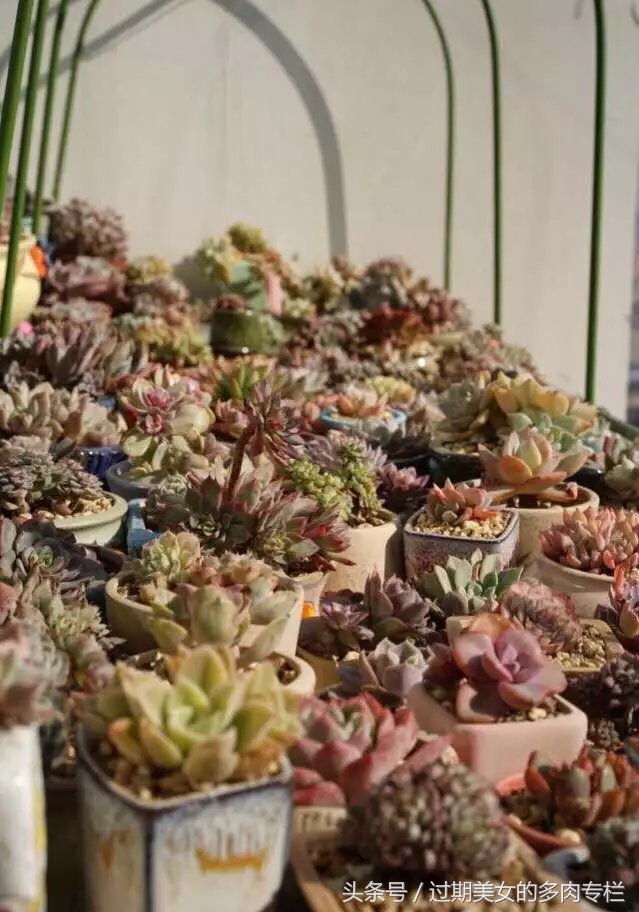 入坑一年小说,入坑一年