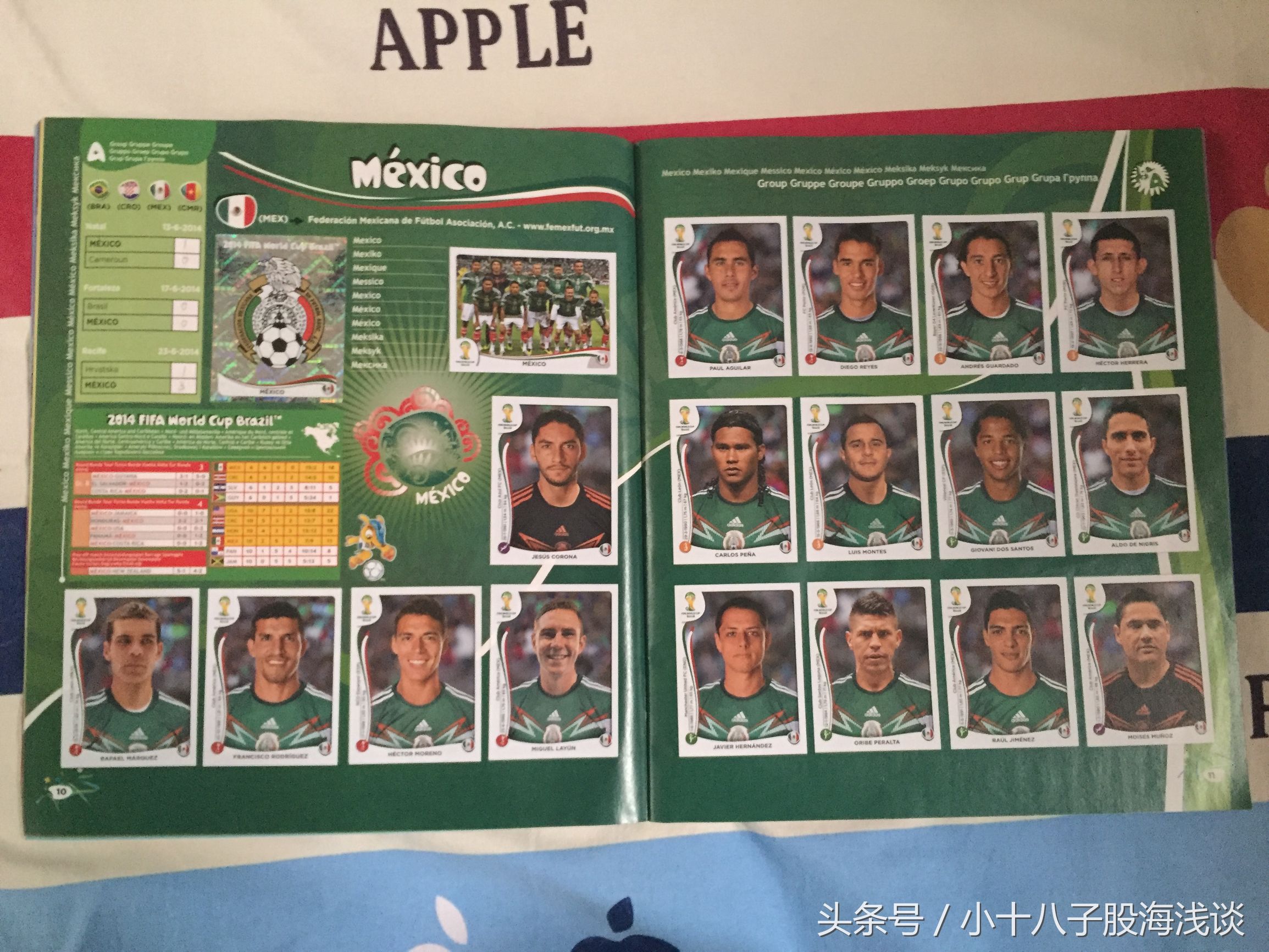 帕尼尼世界杯贴纸,帕尼尼2022世界杯收藏贴纸