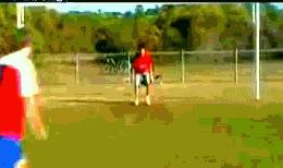 足球基本动态图解,一张让你笑一整天的足球动图