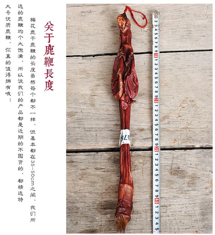 梅花鹿的鞭如何分真假,鲜梅花鹿的鞭如何分真假